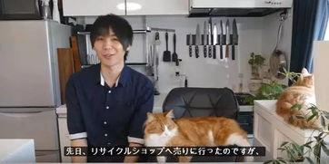 日本大哥在线视频,揭秘日本街头文化魅力